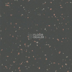 Линолеум Taralay Premium Indiana 8470 Samoa фото 1 | FLOORDEALER